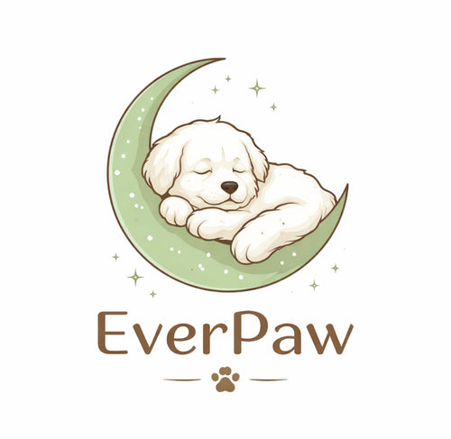 EverPaws